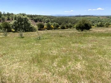 Quinta T5 para Venda em Sabugal e Aldeia de Santo António