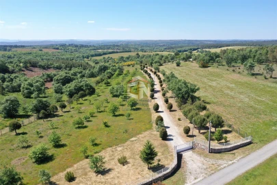 Quinta T5 para Venda em Sabugal e Aldeia de Santo António