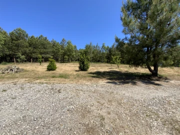 Quinta T5 para Venda em Sabugal e Aldeia de Santo António