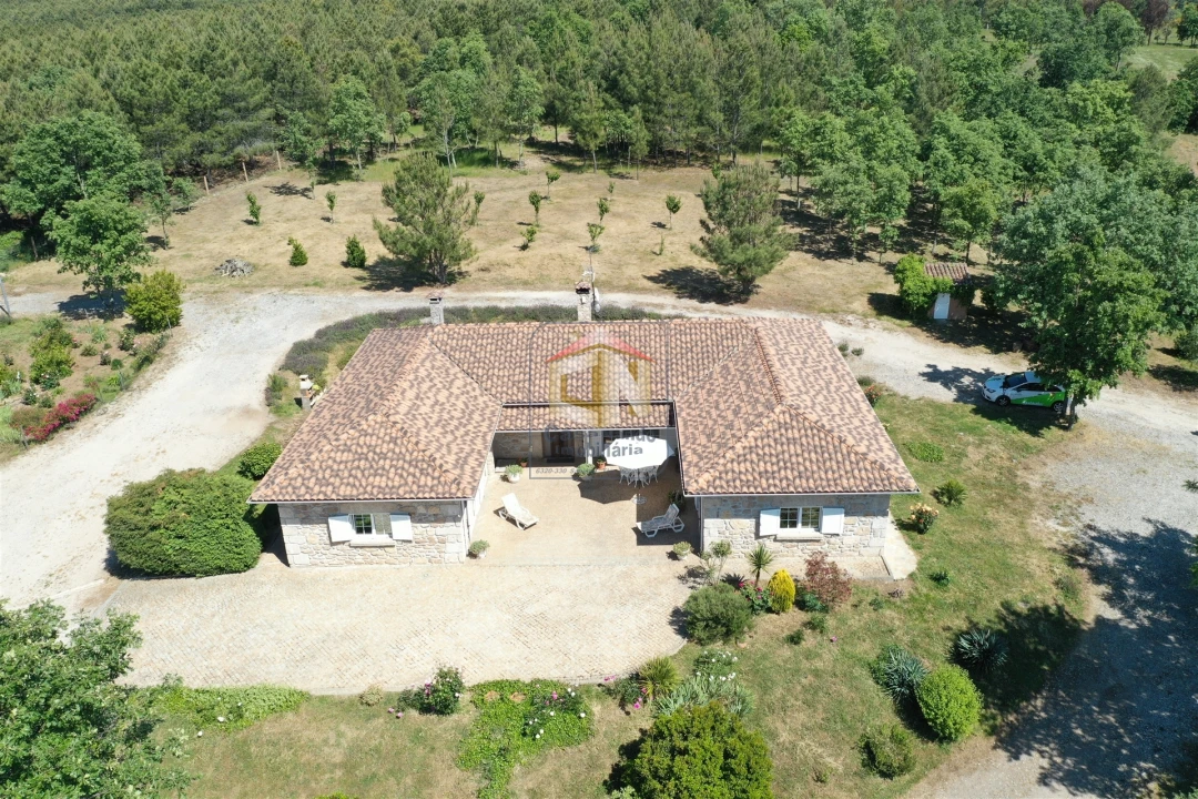 Quinta T5 para Venda em Sabugal e Aldeia de Santo António Foto 10