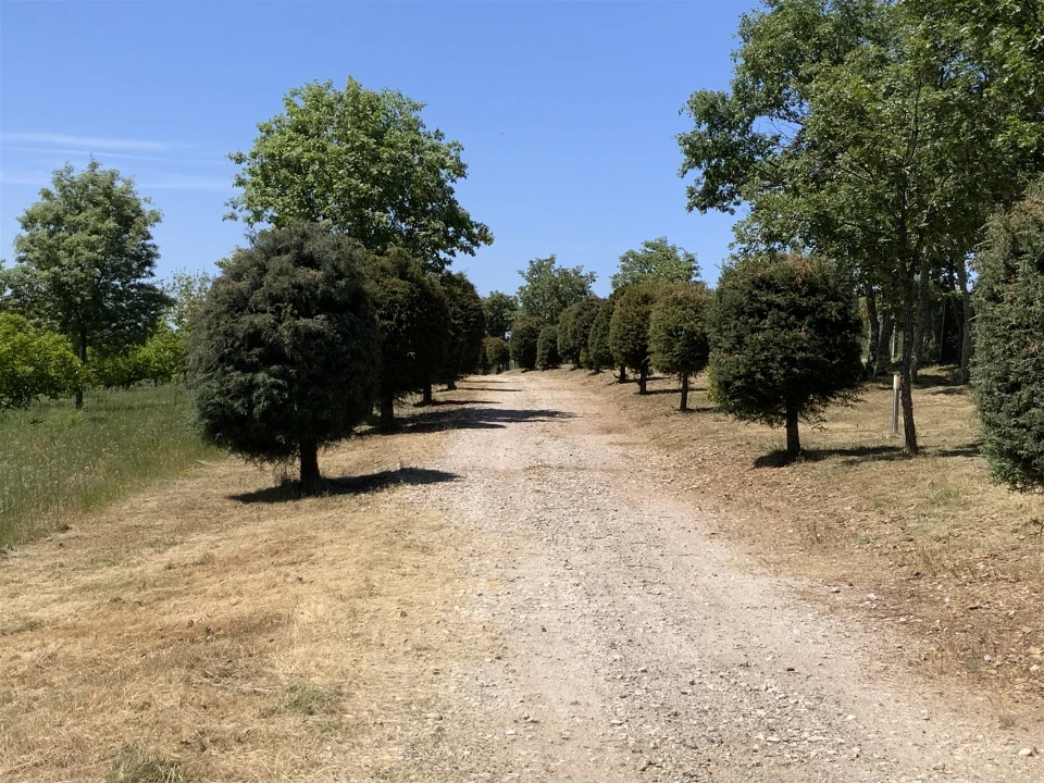 Quinta T5 para Venda em Sabugal e Aldeia de Santo António Foto 21