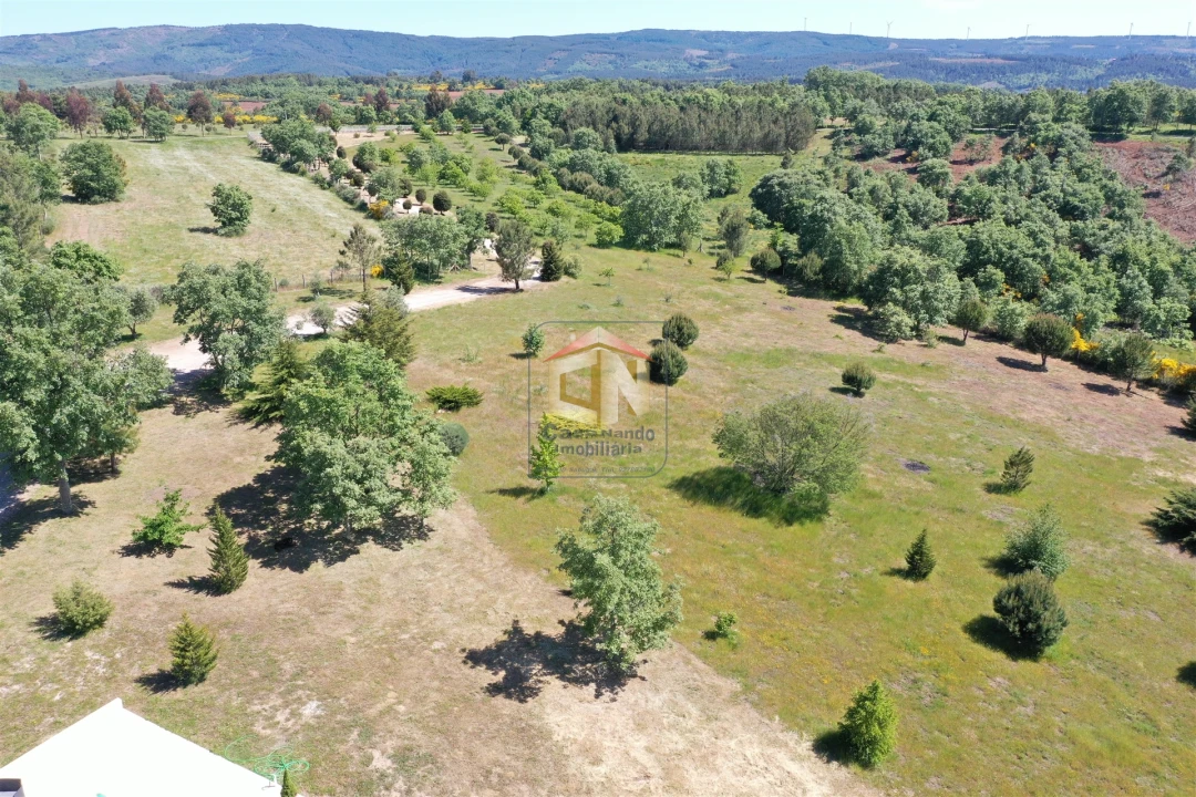 Quinta T5 para Venda em Sabugal e Aldeia de Santo António Foto 11