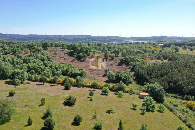 Quinta T5 para Venda em Sabugal e Aldeia de Santo António Foto 12