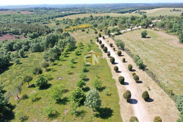 Quinta T5 para Venda em Sabugal e Aldeia de Santo António Foto 7