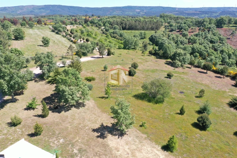 Quinta T5 para Venda em Sabugal e Aldeia de Santo António Foto 11