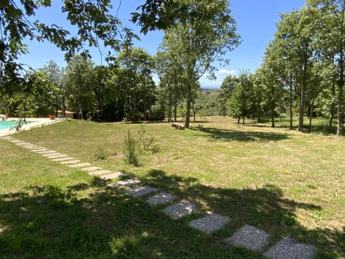 Quinta T5 para Venda em Sabugal e Aldeia de Santo António Foto 27
