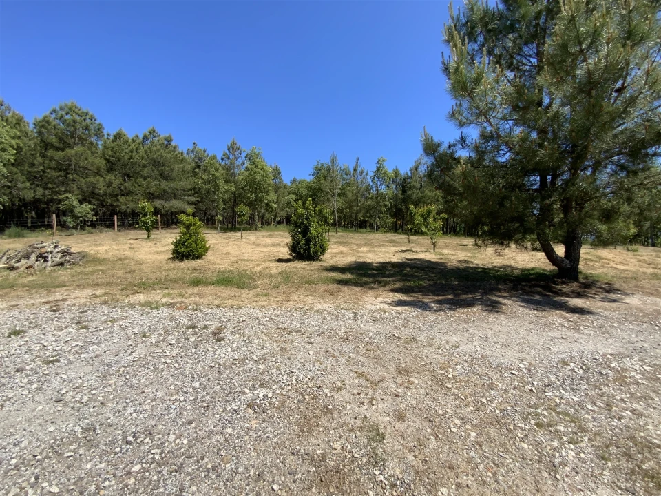 Quinta T5 para Venda em Sabugal e Aldeia de Santo António Foto 37