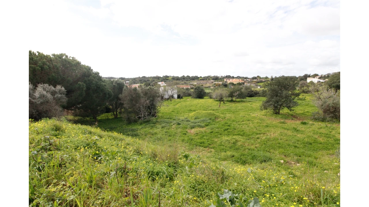 Terreno para Venda em Alvor Foto 9