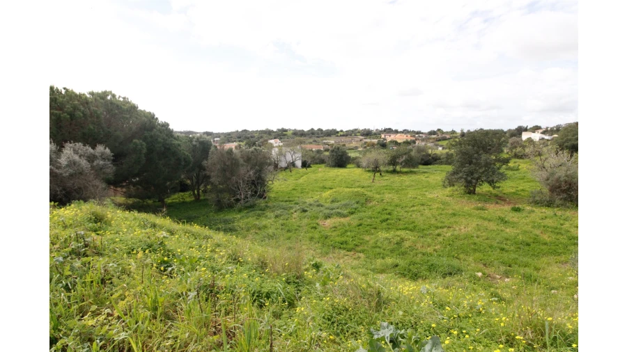 Terreno para Venda em Alvor Foto 9