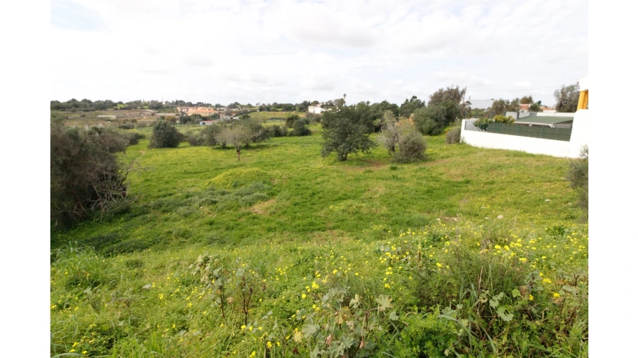Terreno para Venda em Alvor Foto 8