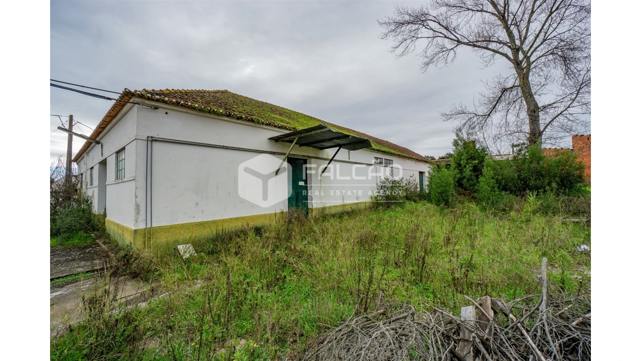 Armazém para Venda em Malhou, Louriceira e Espinheiro Foto 10