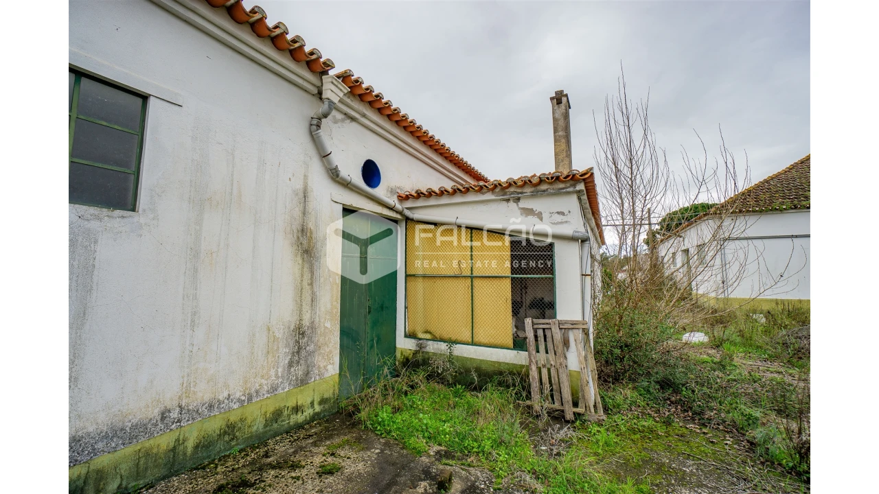 Armazém para Venda em Malhou, Louriceira e Espinheiro Foto 13