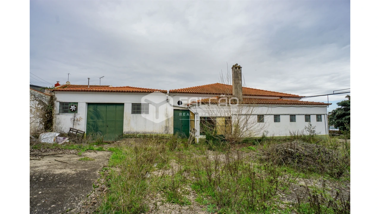 Armazém para Venda em Malhou, Louriceira e Espinheiro Foto 11