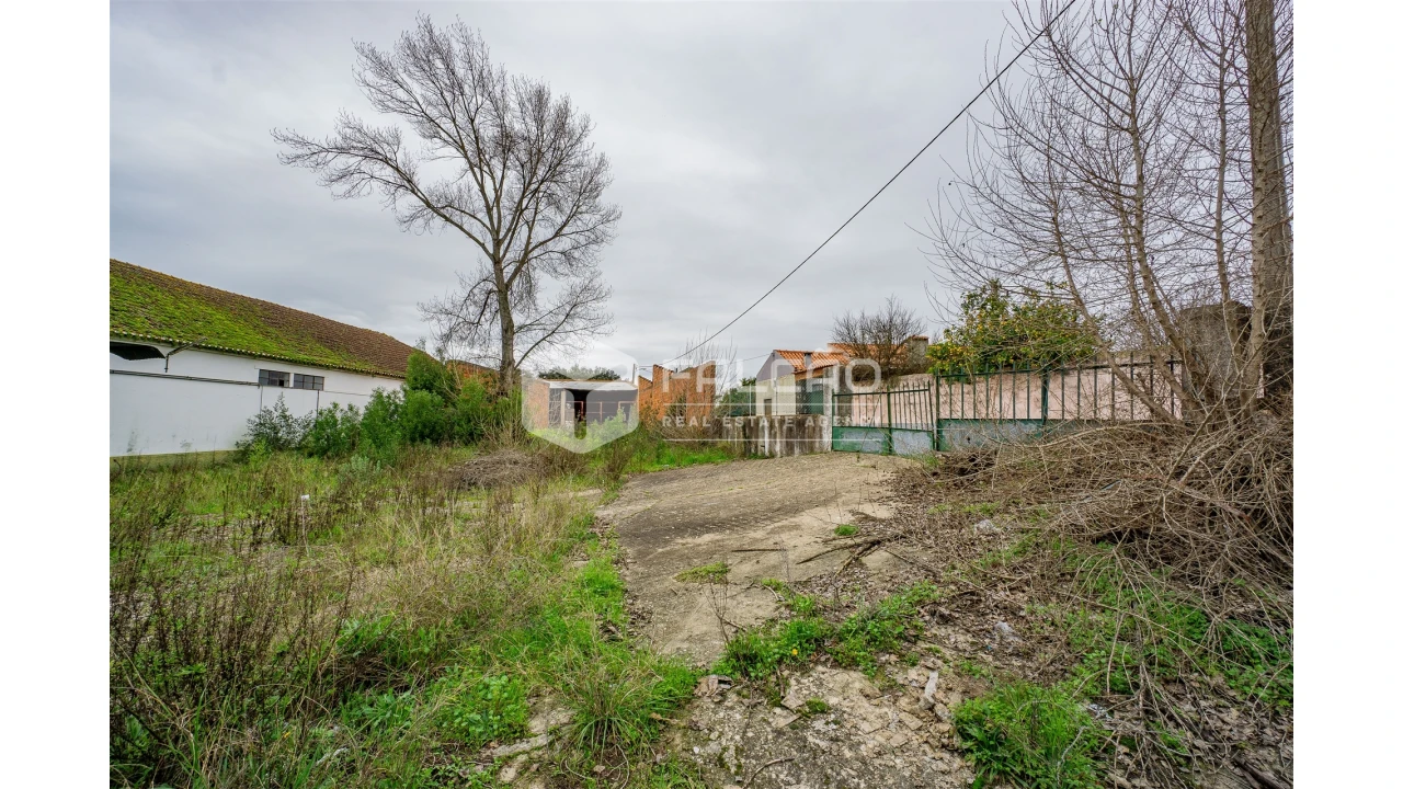 Armazém para Venda em Malhou, Louriceira e Espinheiro Foto 12
