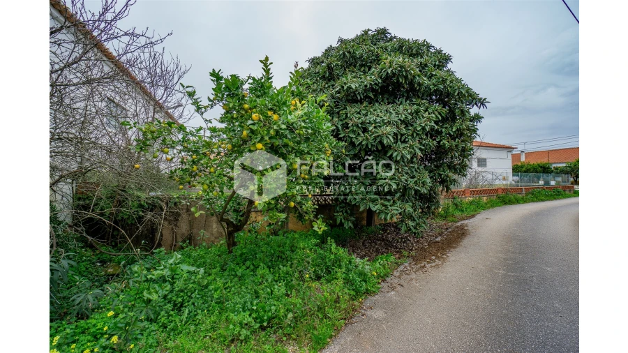 Armazém para Venda em Malhou, Louriceira e Espinheiro Foto 26