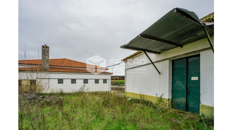 Armazém para Venda em Malhou, Louriceira e Espinheiro Foto 14