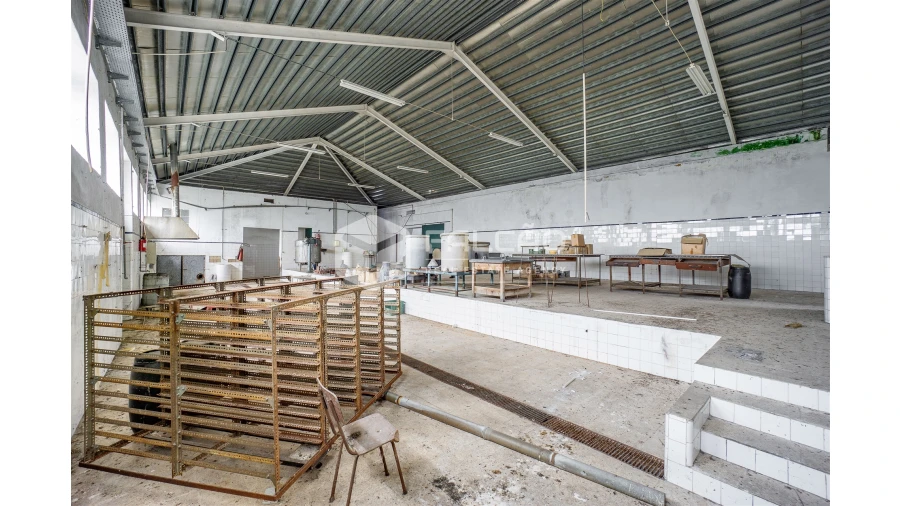 Armazém para Venda em Malhou, Louriceira e Espinheiro Foto 31