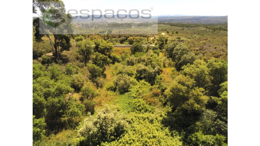 Quinta para Venda em Fratel Foto 1