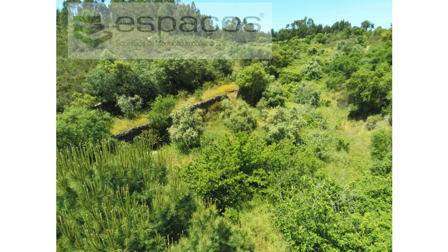 Quinta para Venda em Fratel Foto 5