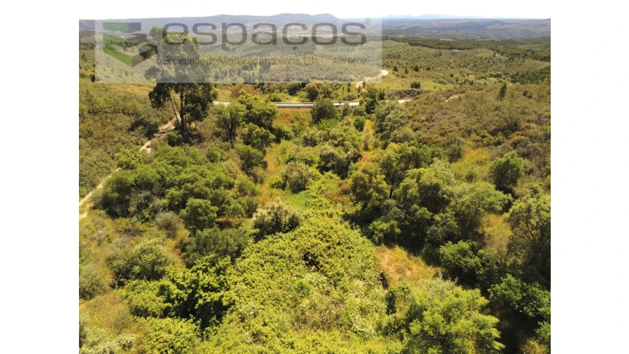 Quinta para Venda em Fratel Foto 8