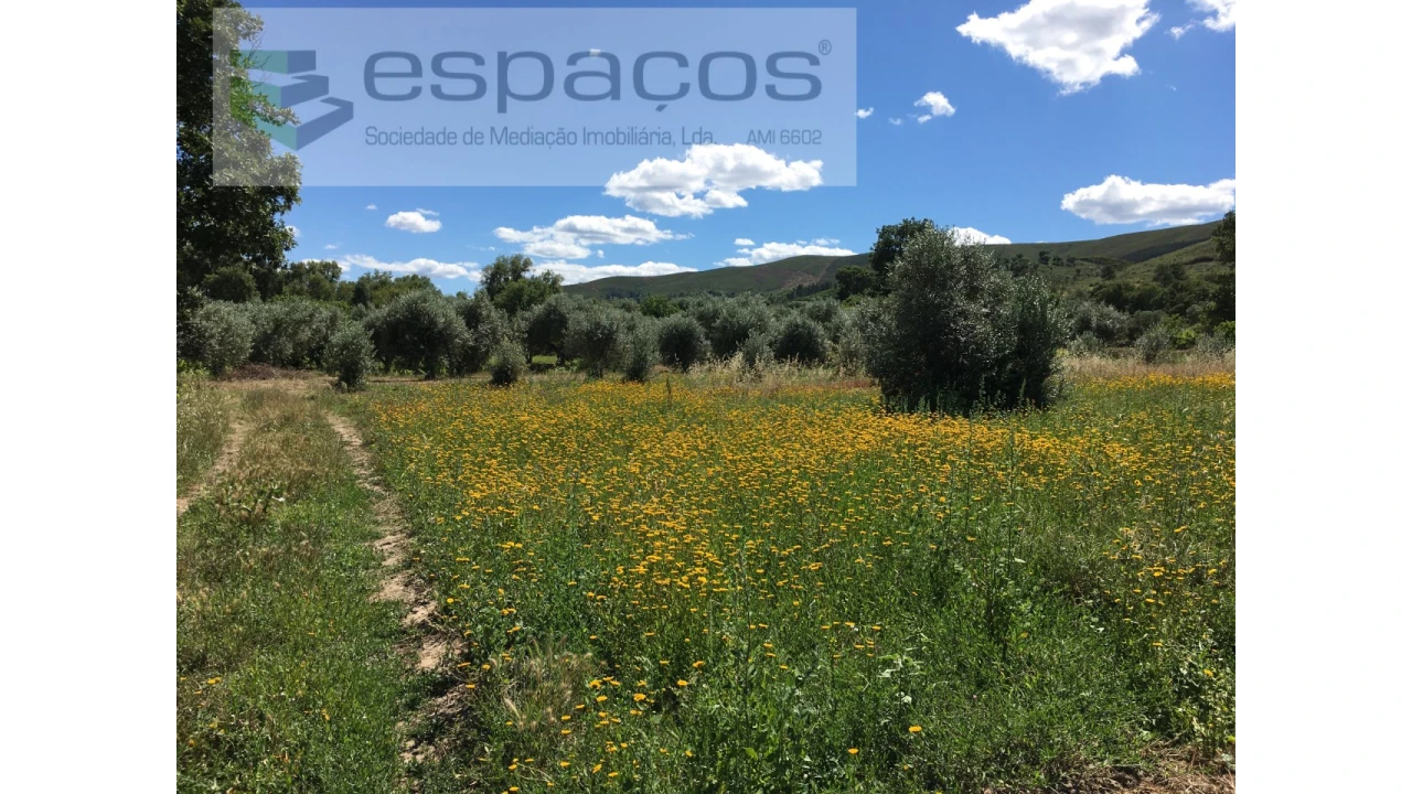 Terreno Agricola ou Rústico para Venda em Telhado Foto 3