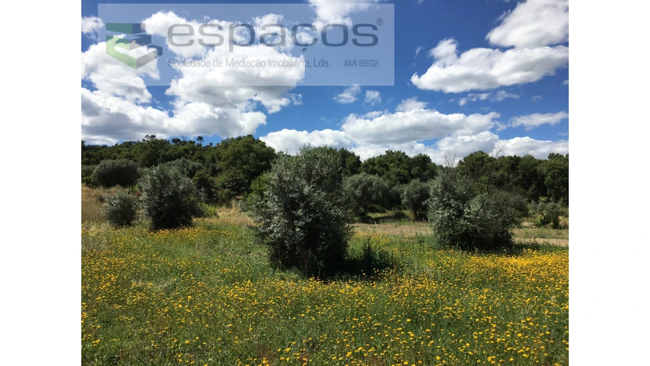 Terreno Agricola ou Rústico para Venda em Telhado Foto 1