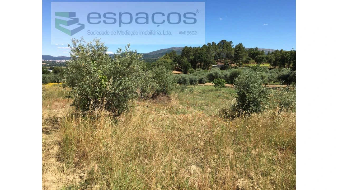 Terreno Agricola ou Rústico para Venda em Telhado Foto 12