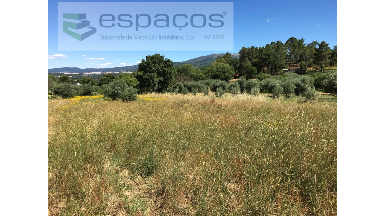 Terreno Agricola ou Rústico para Venda em Telhado Foto 13