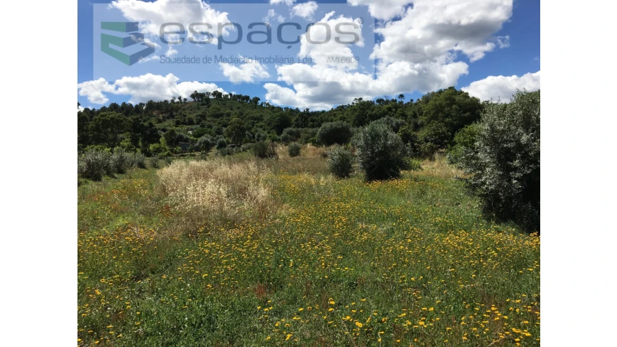 Terreno Agricola ou Rústico para Venda em Telhado Foto 5