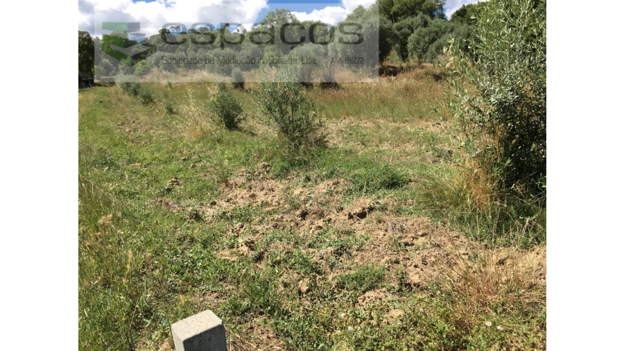 Terreno Agricola ou Rústico para Venda em Telhado Foto 7