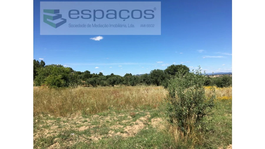 Terreno Agricola ou Rústico para Venda em Telhado Foto 2