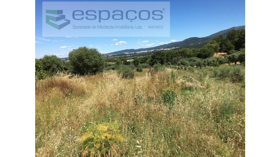 Terreno Agricola ou Rústico para Venda em Telhado Foto 11