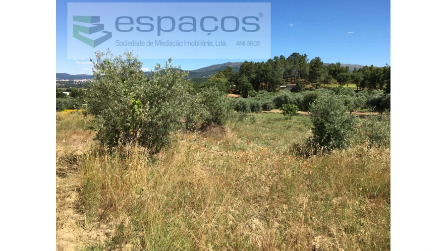 Terreno Agricola ou Rústico para Venda em Telhado Foto 12