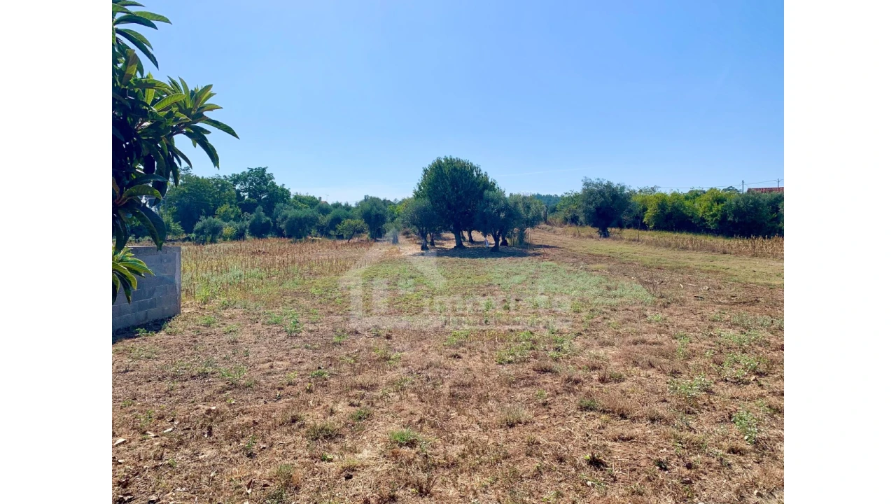 Moradia T4 para Venda em Alvorge Foto 19