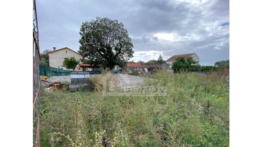 Terreno para Venda em Alvaiázere Foto 7