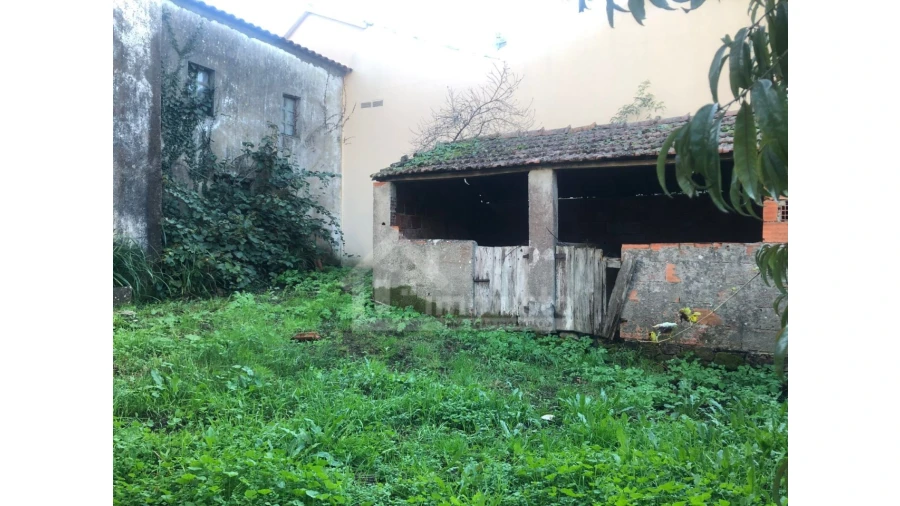 Quinta T2 para Venda em Figueiró dos Vinhos e Bairradas Foto 5