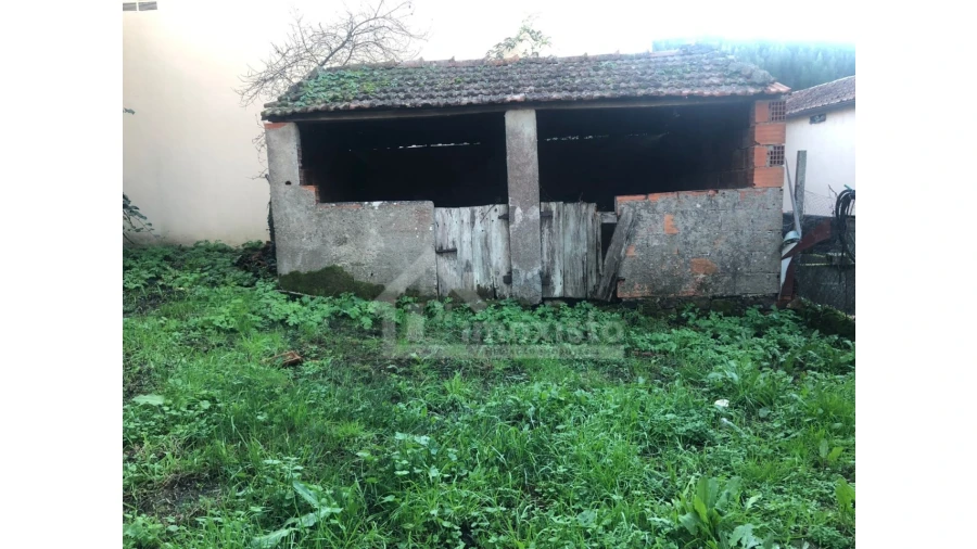 Quinta T2 para Venda em Figueiró dos Vinhos e Bairradas Foto 6