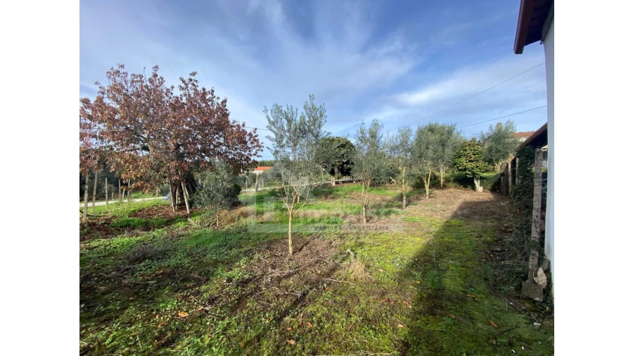 Moradia T2 para Venda em Graça Foto 10