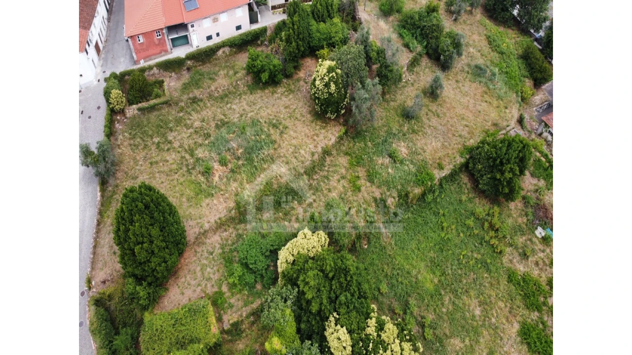 Terreno Agricola ou Rústico para Venda em Figueiró dos Vinhos e Bairradas Foto 2