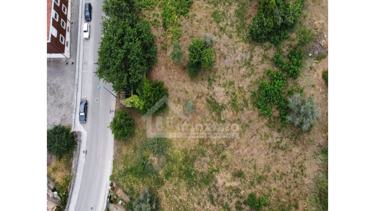 Terreno Agricola ou Rústico para Venda em Figueiró dos Vinhos e Bairradas Foto 3