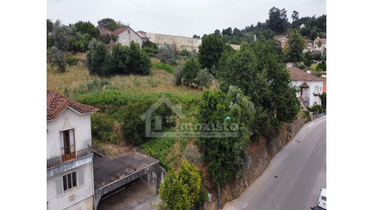 Terreno Agricola ou Rústico para Venda em Figueiró dos Vinhos e Bairradas Foto 7