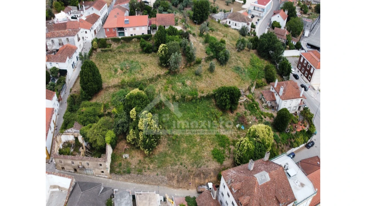 Terreno Agricola ou Rústico para Venda em Figueiró dos Vinhos e Bairradas Foto 9