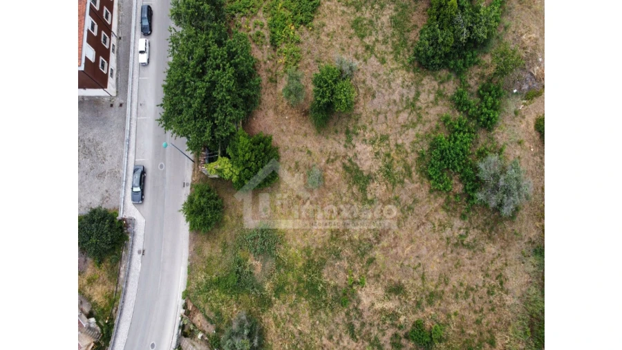 Terreno Agricola ou Rústico para Venda em Figueiró dos Vinhos e Bairradas Foto 3