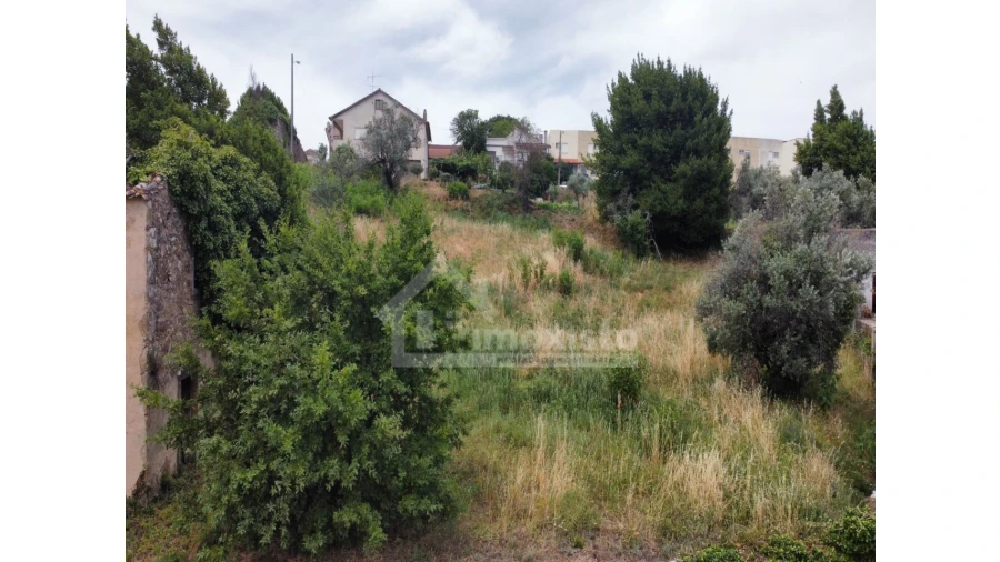 Terreno Agricola ou Rústico para Venda em Figueiró dos Vinhos e Bairradas Foto 4