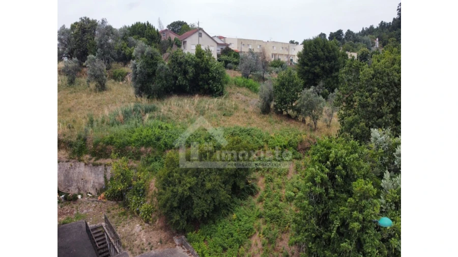 Terreno Agricola ou Rústico para Venda em Figueiró dos Vinhos e Bairradas Foto 5