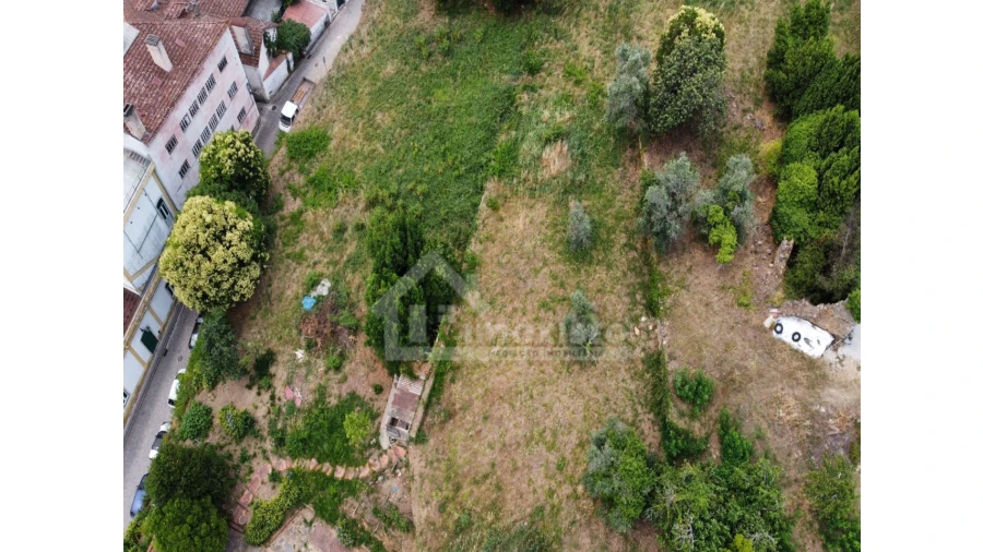Terreno Agricola ou Rústico para Venda em Figueiró dos Vinhos e Bairradas Foto 6