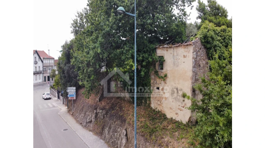 Terreno Agricola ou Rústico para Venda em Figueiró dos Vinhos e Bairradas Foto 8