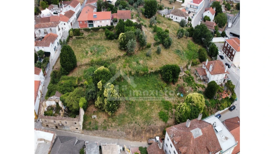 Terreno Agricola ou Rústico para Venda em Figueiró dos Vinhos e Bairradas Foto 9