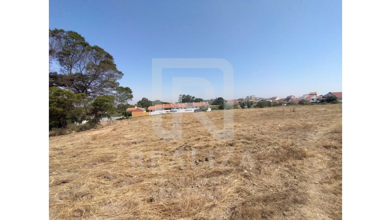 Terreno para Venda em Amora Foto 3