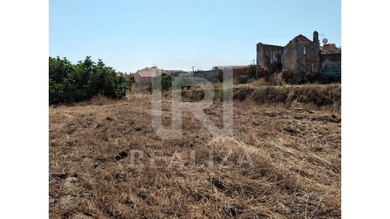 Terreno para Venda em Amora Foto 4